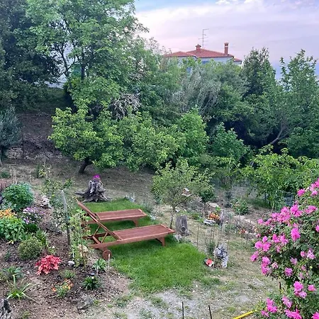 Olea