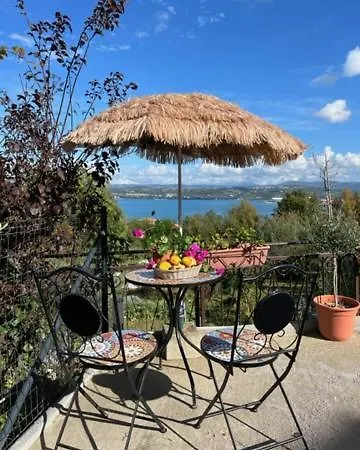Olea Koper